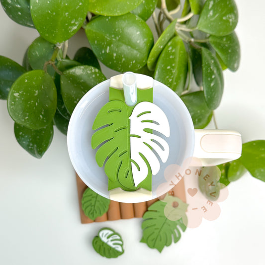 Monstera Leaf