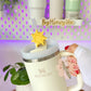 Princess Sun Straw Topper