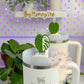 Monstera Leaf Straw Topper